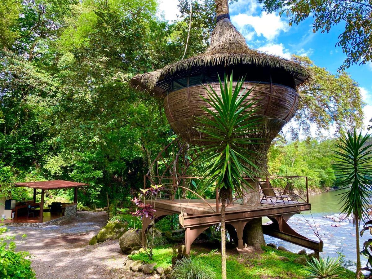 Cabanas Rio Encantado Alto Boquete エクステリア 写真