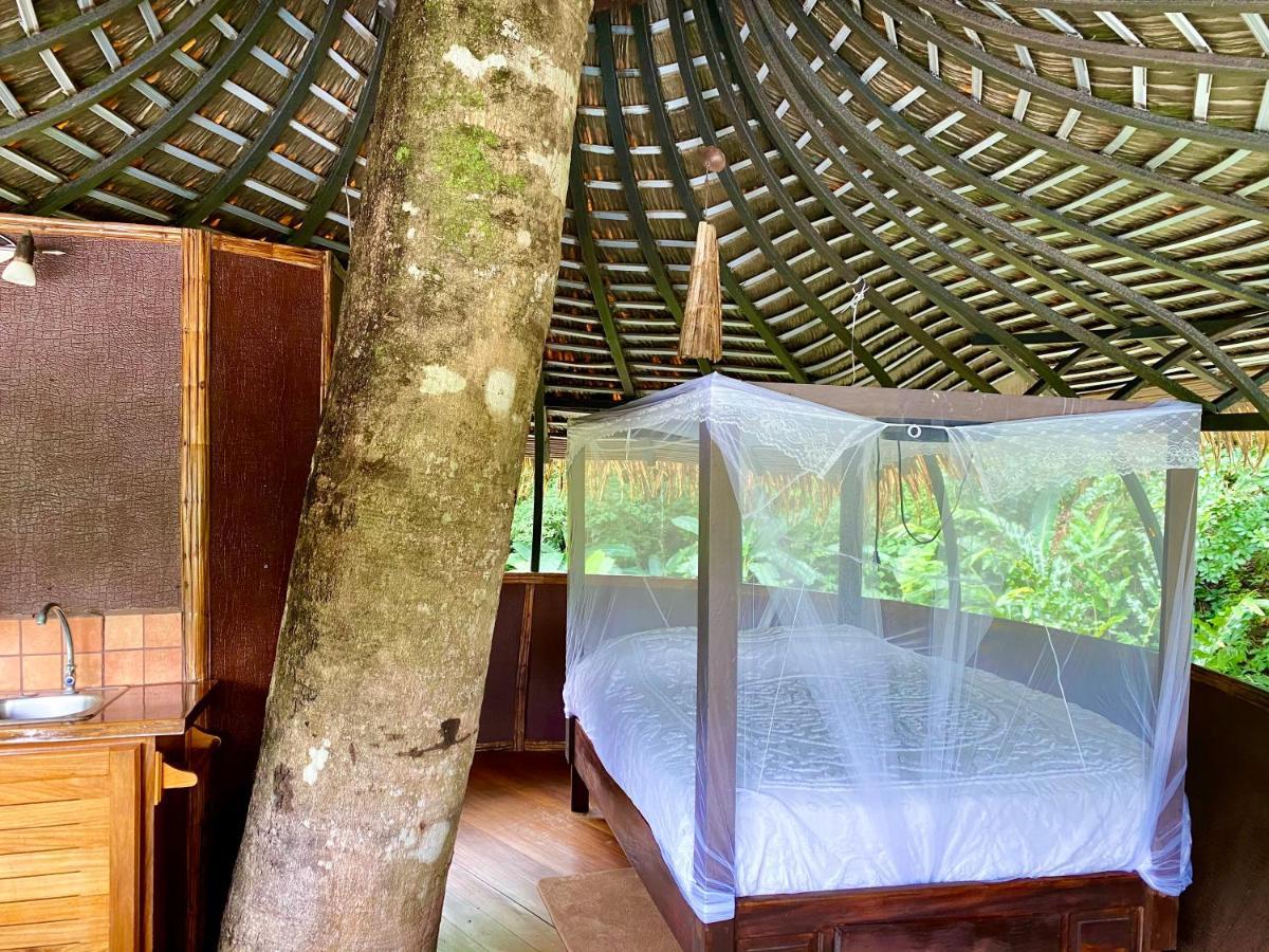 Cabanas Rio Encantado Alto Boquete エクステリア 写真